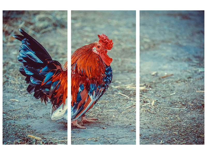 3-piece-canvas-print-proud-cock