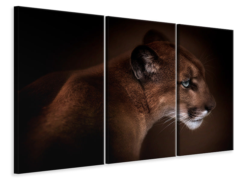 3-piece-canvas-print-puma