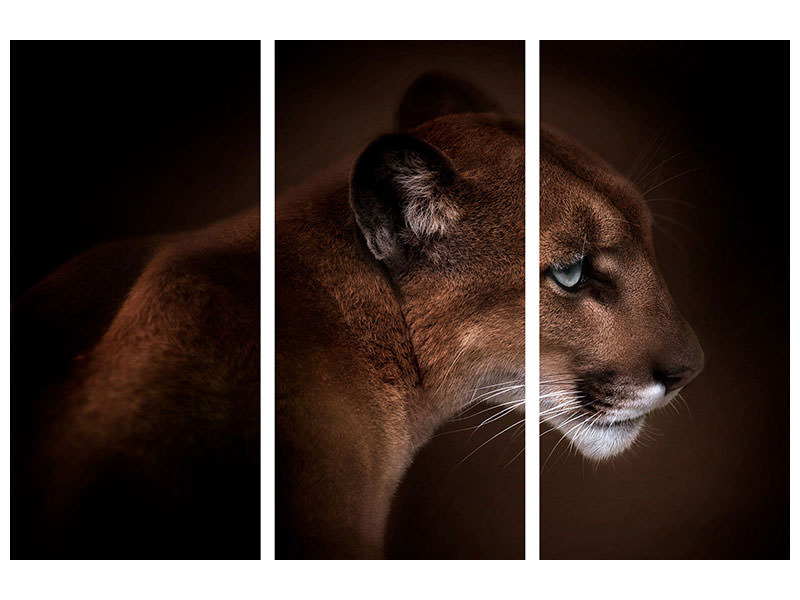 3-piece-canvas-print-puma