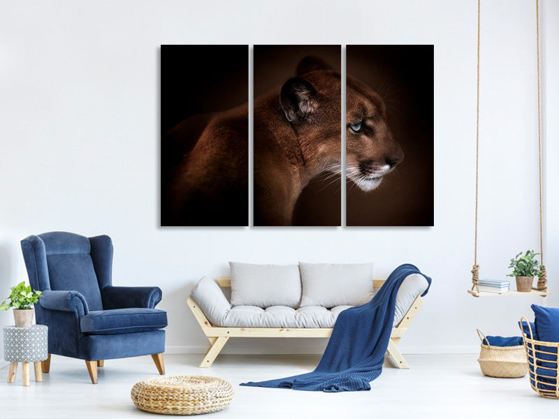 3-piece-canvas-print-puma