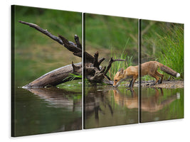 3-piece-canvas-print-red-fox-ii