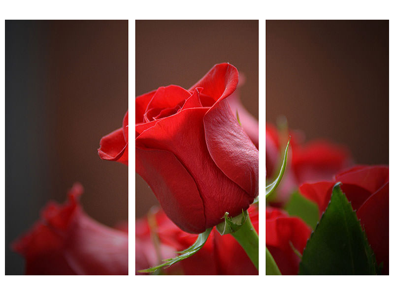 3-piece-canvas-print-red-rose-in-xl