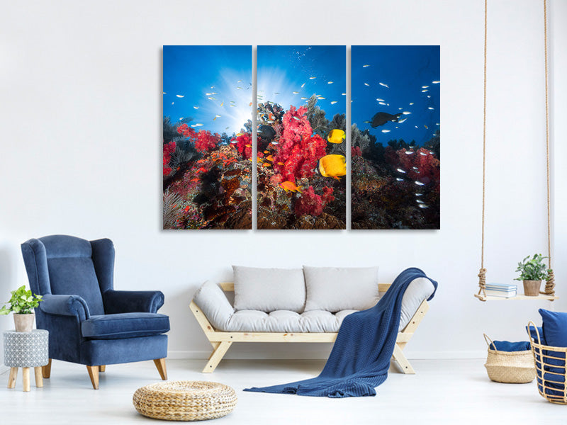 3-piece-canvas-print-reef-life