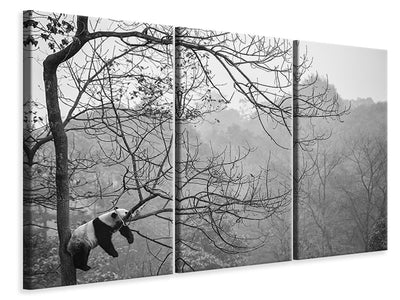 3-piece-canvas-print-relax