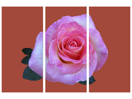 3-piece-canvas-print-rose-in-pink-xxl