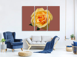 3-piece-canvas-print-rose-in-yellow-xxl