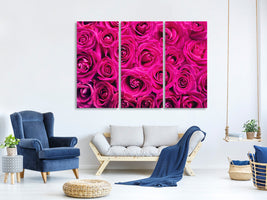 3-piece-canvas-print-rose-petals-in-pink