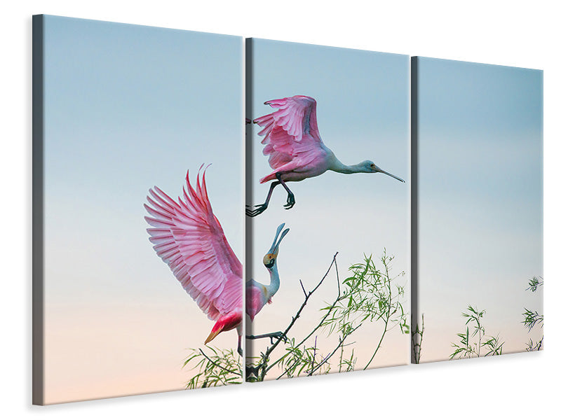 3-piece-canvas-print-rosy-pair