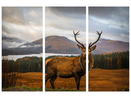 3-piece-canvas-print-scottish-stag