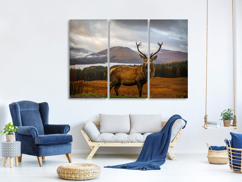 3-piece-canvas-print-scottish-stag