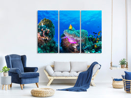 3-piece-canvas-print-sea-life