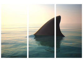 3-piece-canvas-print-shark-fin