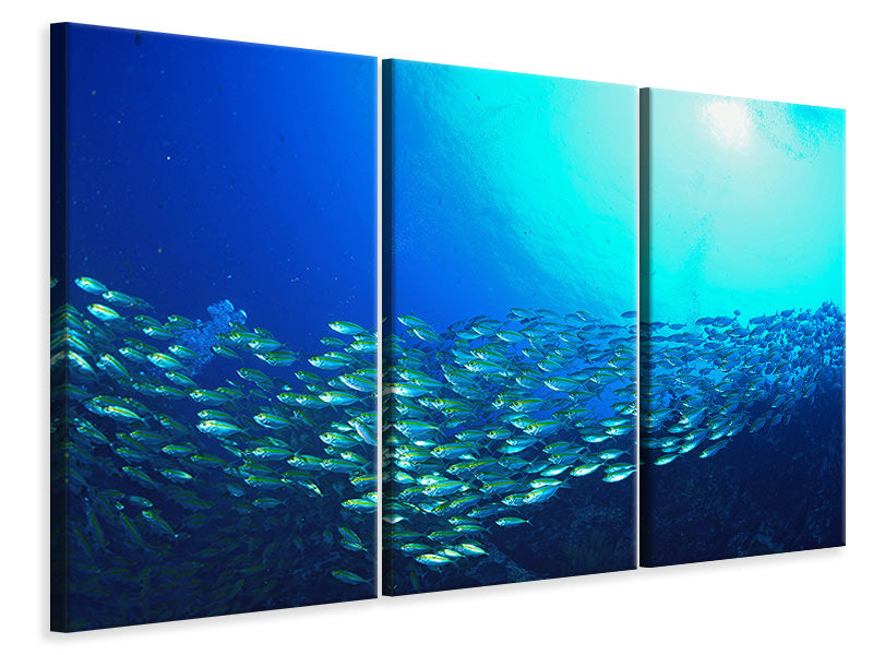 3-piece-canvas-print-shoal-of-fish