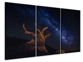 3-piece-canvas-print-shooting-stars-night