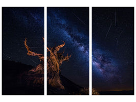 3-piece-canvas-print-shooting-stars-night