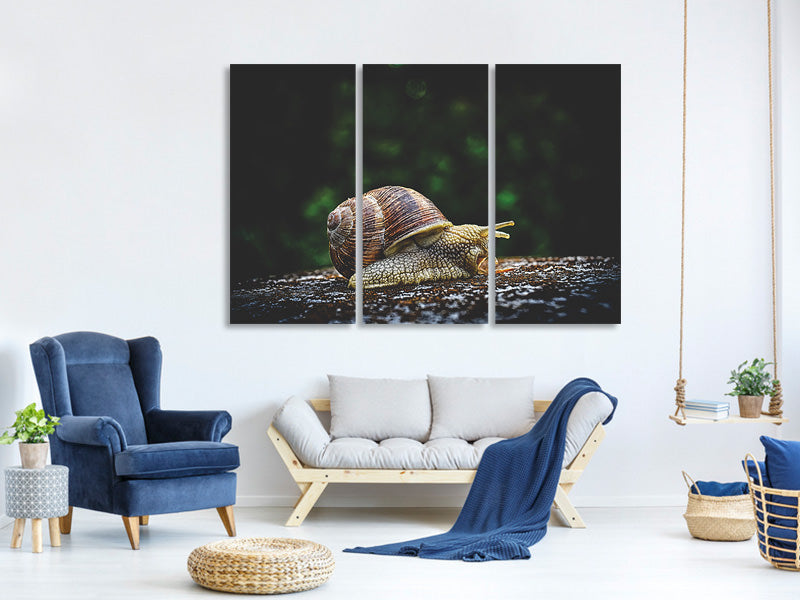 3-piece-canvas-print-snail-xxl