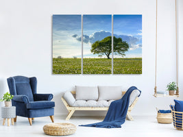 3-piece-canvas-print-spring-tree