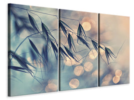 3-piece-canvas-print-straws