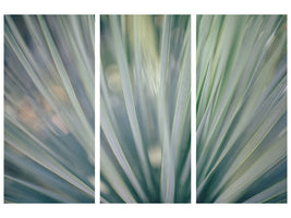 3-piece-canvas-print-strip-of-plant