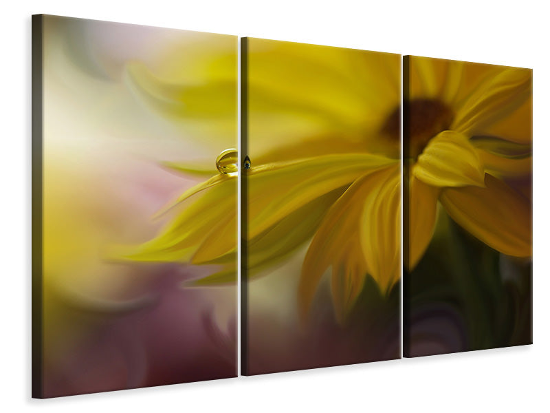 3-piece-canvas-print-sunbeam