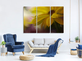 3-piece-canvas-print-sunbeam