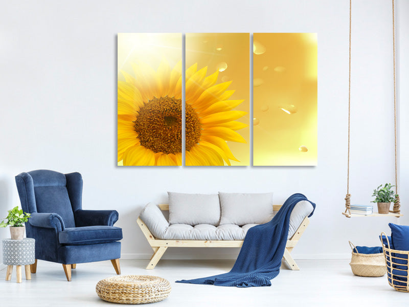 3-piece-canvas-print-sunflower-in-morning-dew