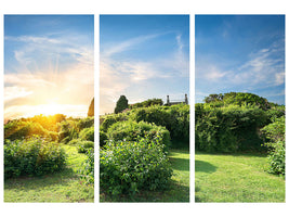 3-piece-canvas-print-sunrise-in-the-park