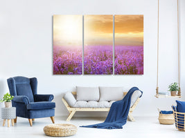 3-piece-canvas-print-sunset-in-lavender-field