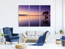 3-piece-canvas-print-sunset-on-the-tree-in-the-water