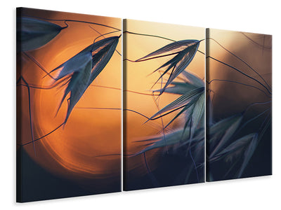 3-piece-canvas-print-sunset-p