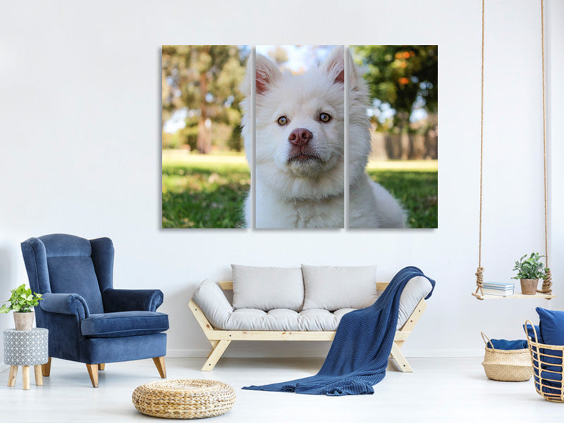 3-piece-canvas-print-sweet-dog-snout