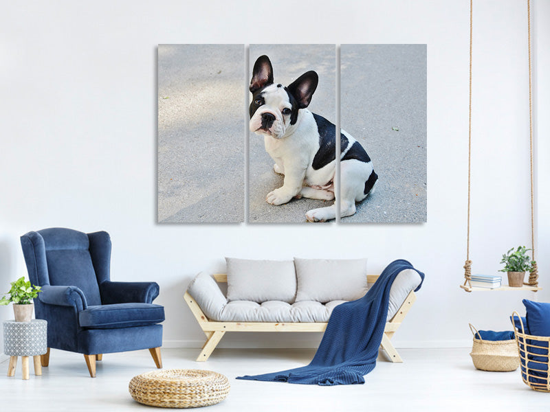 3-piece-canvas-print-sweet-french-bulldog