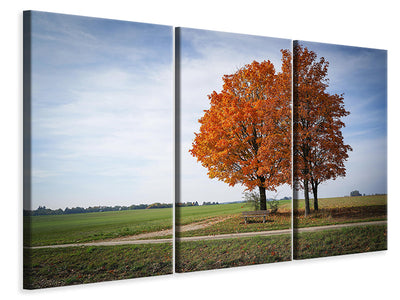 3-piece-canvas-print-the-3-trees