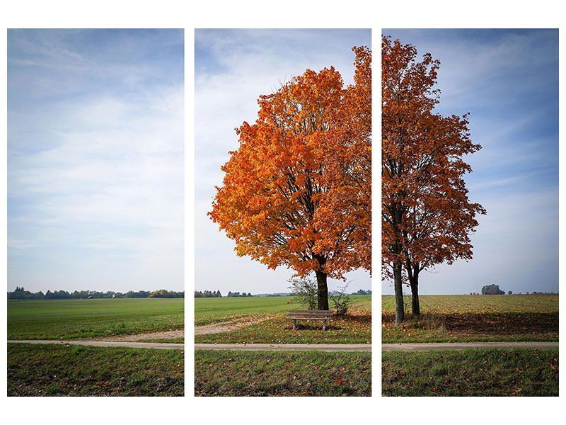 3-piece-canvas-print-the-3-trees