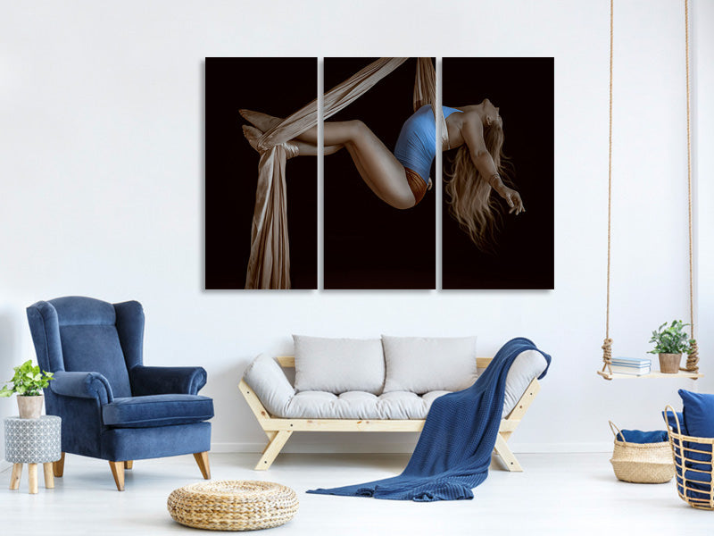 3-piece-canvas-print-the-artist