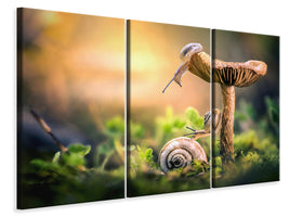 3-piece-canvas-print-the-awakening-of-snails