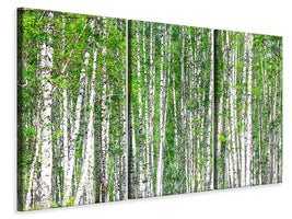 3-piece-canvas-print-the-birch-forest