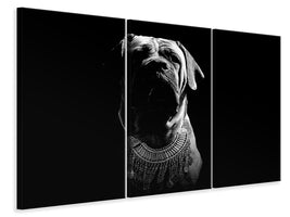 3-piece-canvas-print-the-boerboel-sw