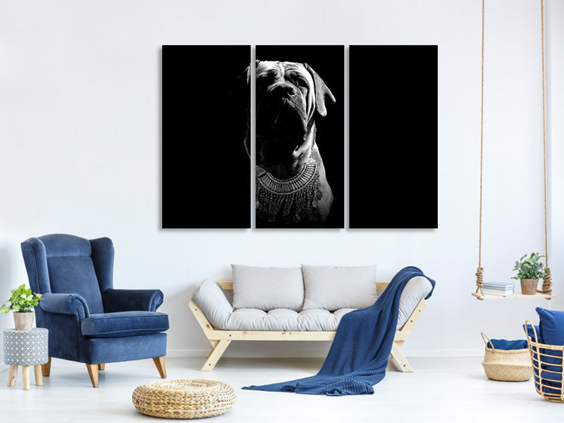 3-piece-canvas-print-the-boerboel-sw