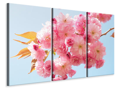 3-piece-canvas-print-the-cherry-blossoms