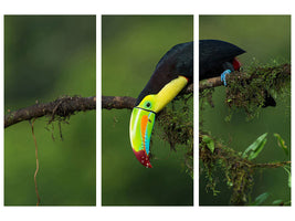 3-piece-canvas-print-the-colors-of-costa-rica