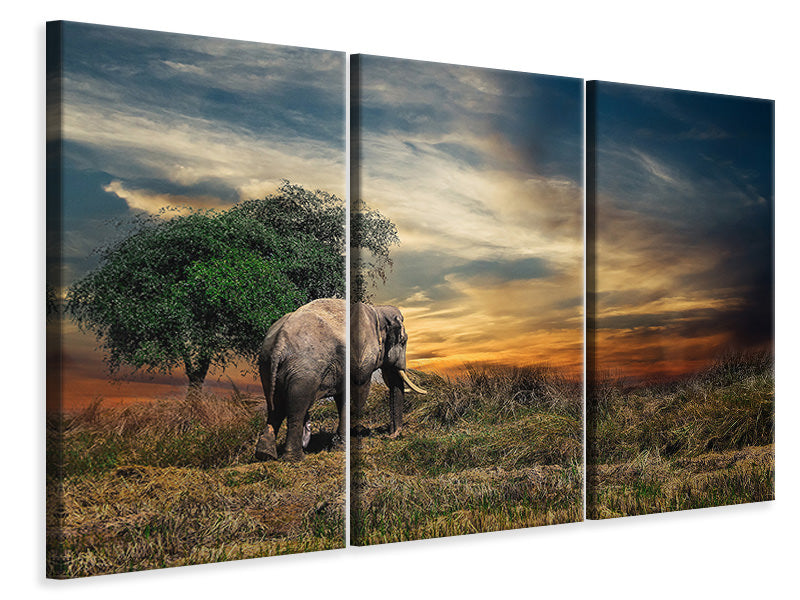 3-piece-canvas-print-the-elephant-in-the-sunset