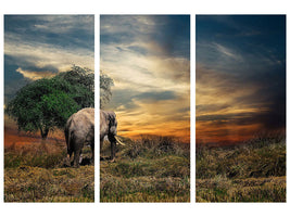 3-piece-canvas-print-the-elephant-in-the-sunset