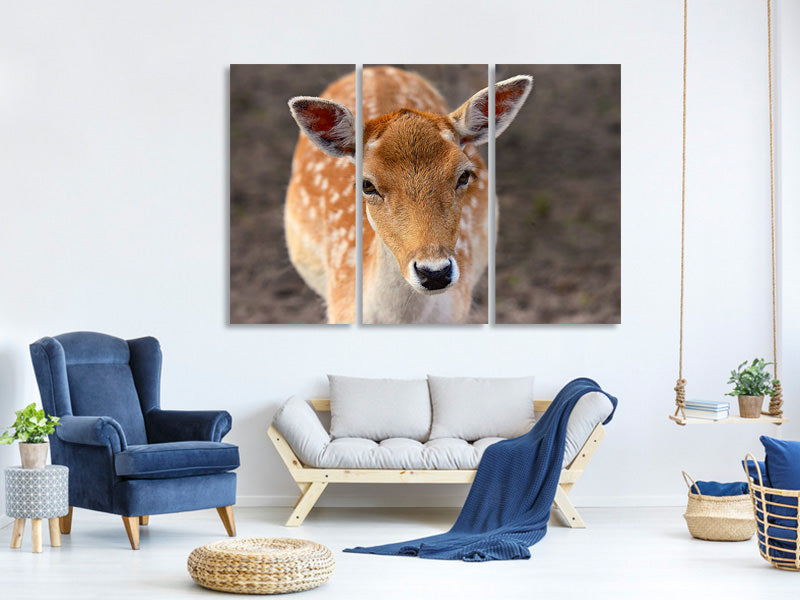 3-piece-canvas-print-the-fallow-deer