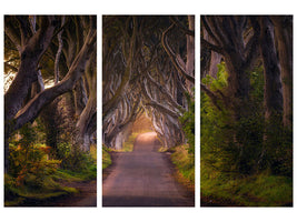 3-piece-canvas-print-the-glowing-hedges