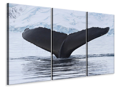 3-piece-canvas-print-the-humpback-whale