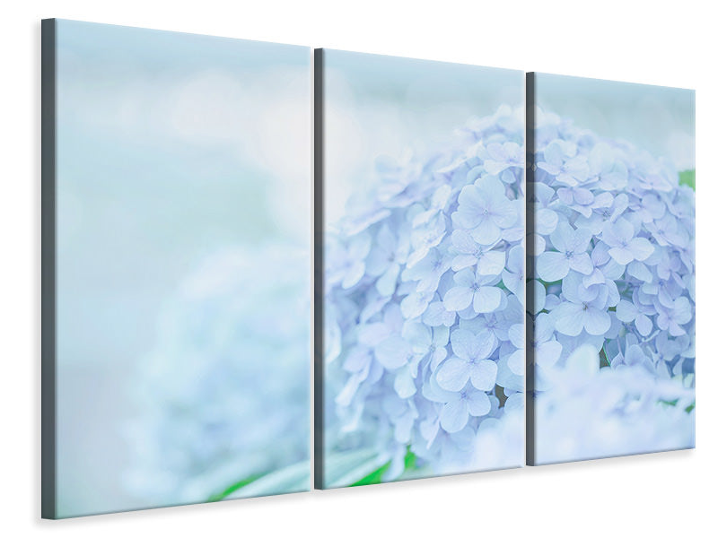 3-piece-canvas-print-the-hydrangea