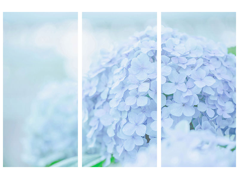 3-piece-canvas-print-the-hydrangea