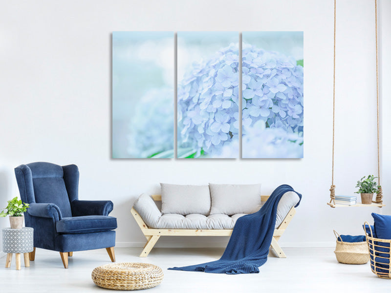 3-piece-canvas-print-the-hydrangea