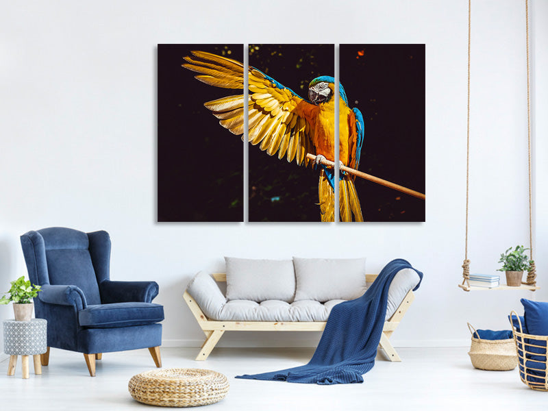 3-piece-canvas-print-the-macaw